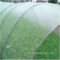 White HDPE Virgin Mono Insect Net